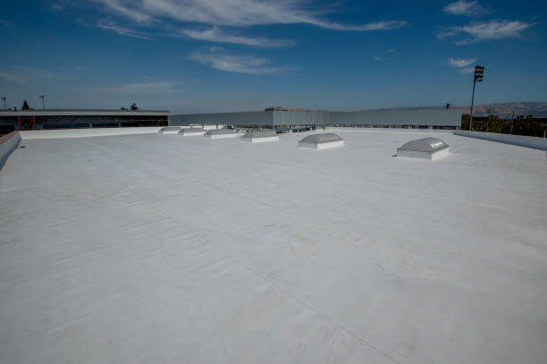 Best Gutter Installation and Repair  in Rio Rico, AZ