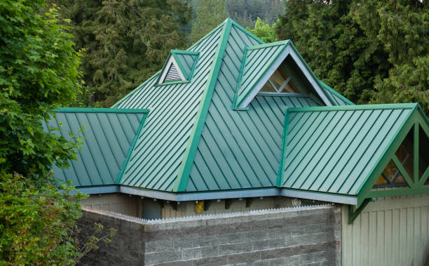 Best Chimney Flashing Repair  in Rio Rico, AZ
