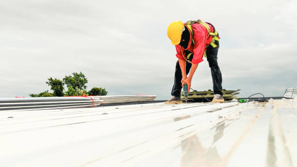 Best 4 Ply Roofing  in Rio Rico, AZ