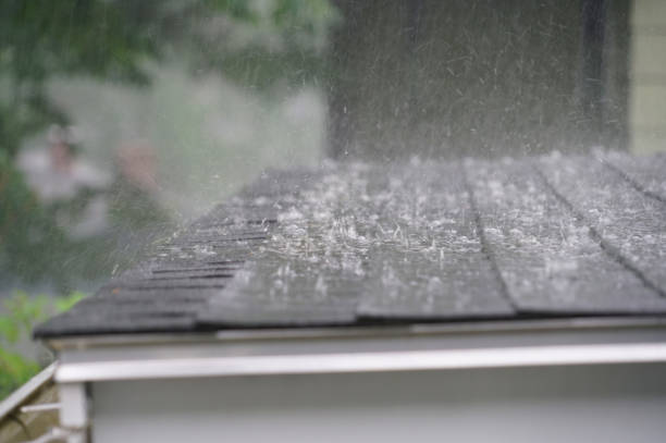 Best Asphalt Shingle Roofing  in Rio Rico, AZ