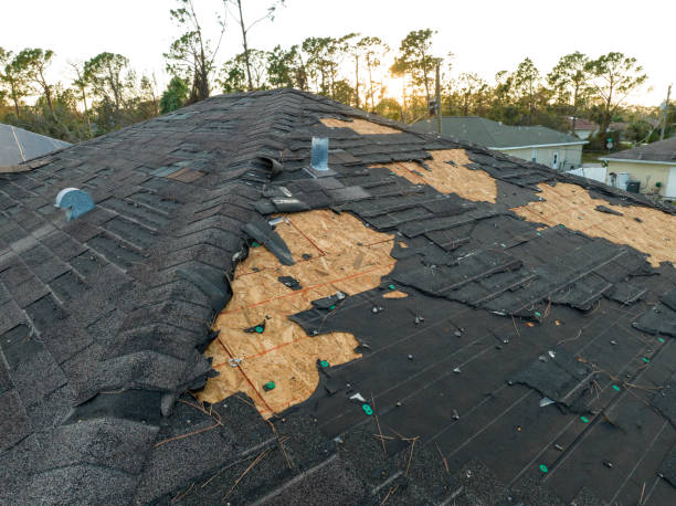 Best Wood Shake Roofing  in Rio Rico, AZ