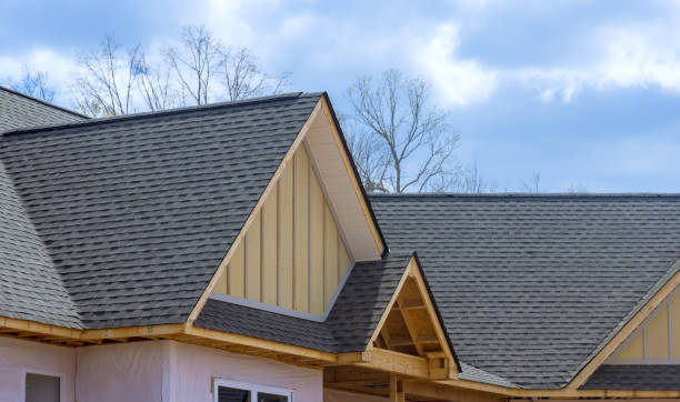 Best Roof Ventilation Installation  in Rio Rico, AZ