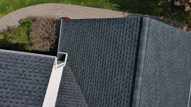 Best Gutter Installation and Repair  in Rio Rico, AZ